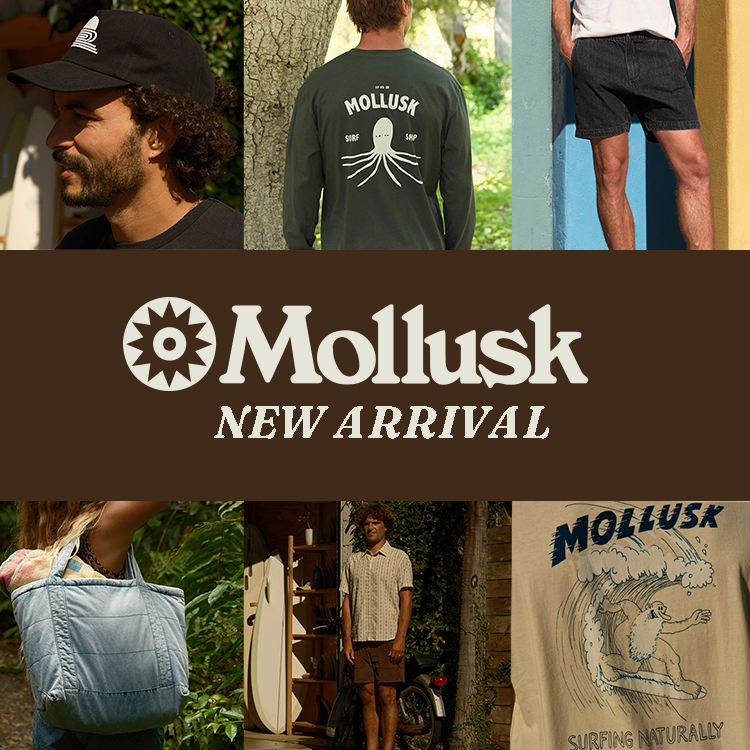 Mollusk New Arrival