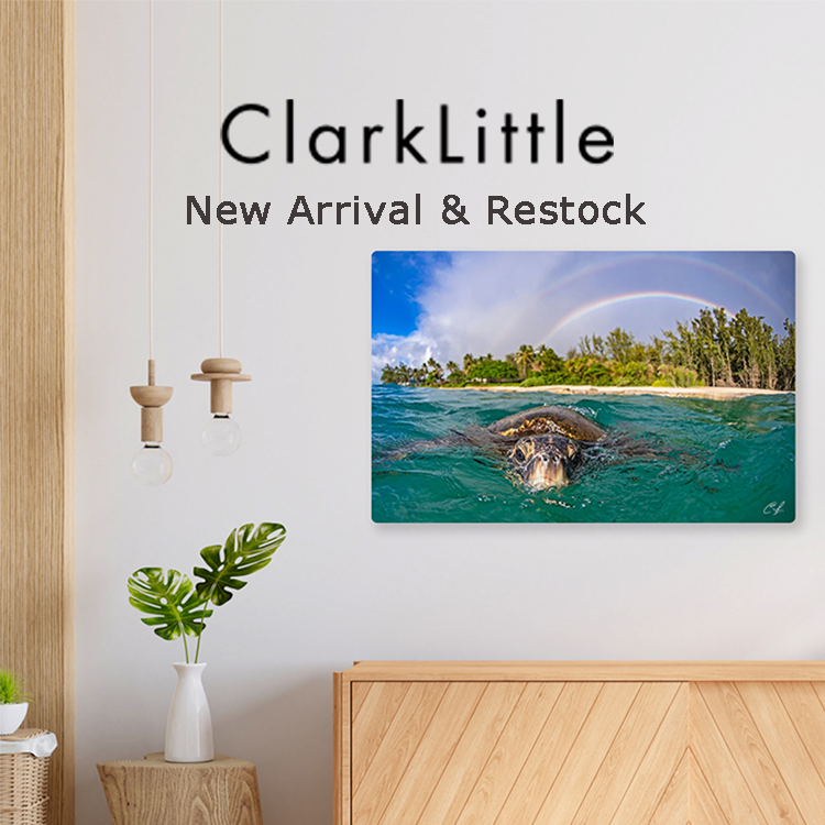 Clark Little New Arrival & Restock