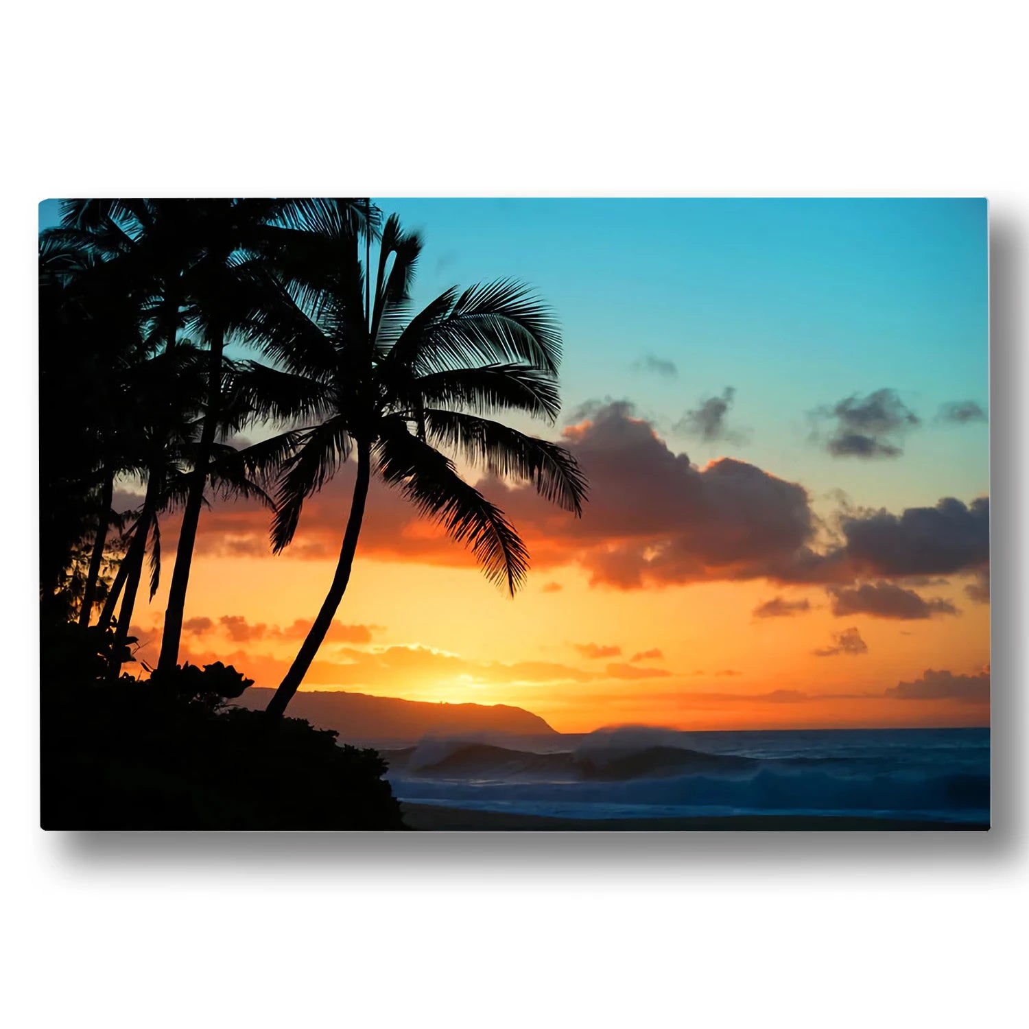 PARADISE FOUND