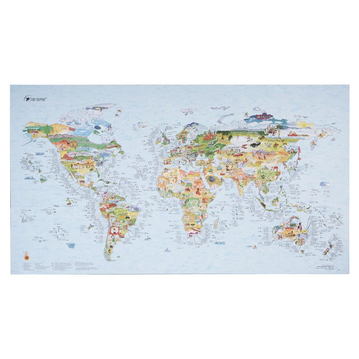 SURFTRIP MAP-CANVAS