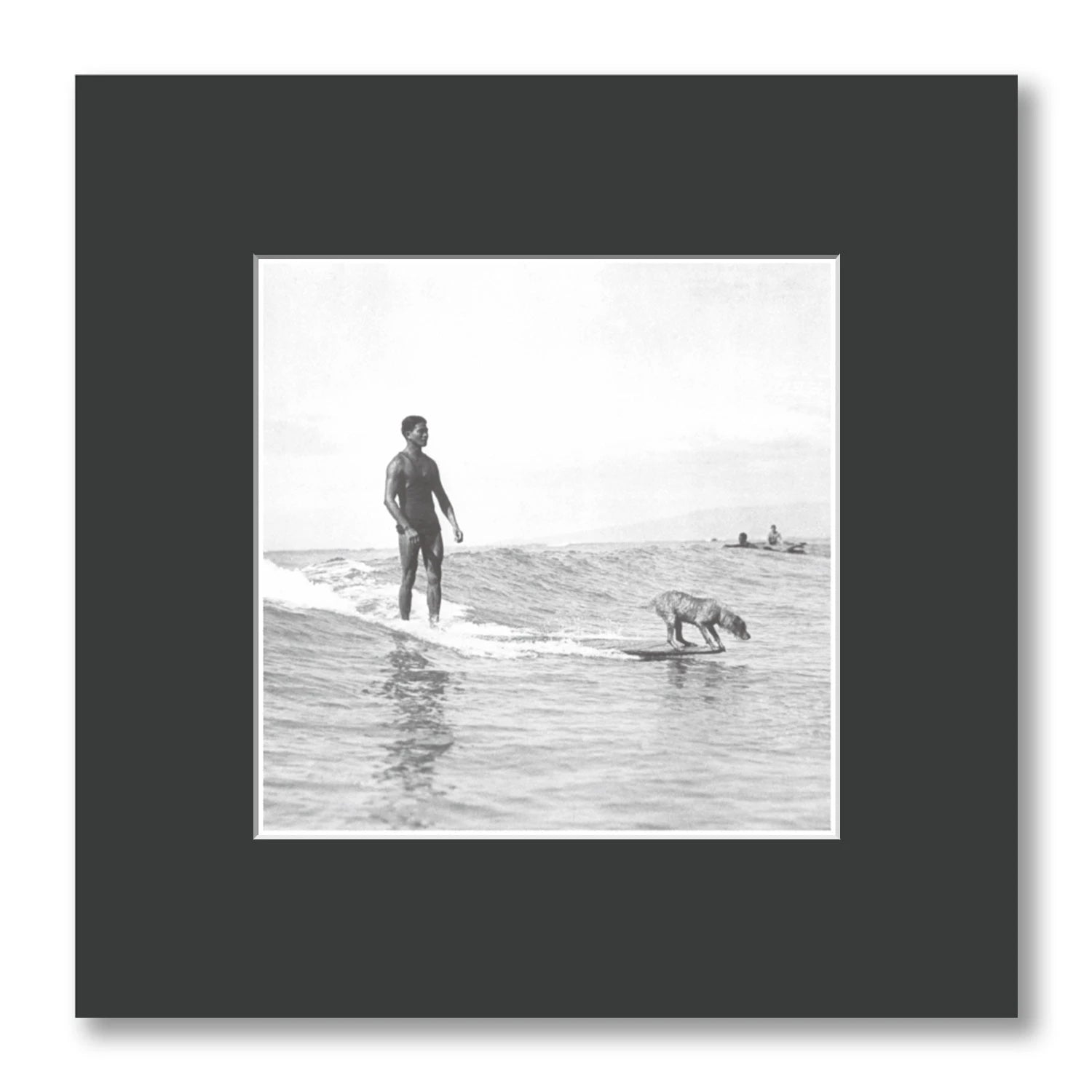 SURFING DOG AT WAIKIKI BEACH 1950S HAWAII