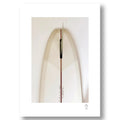 LONGBOARD
