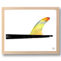 RAINBOW FIN