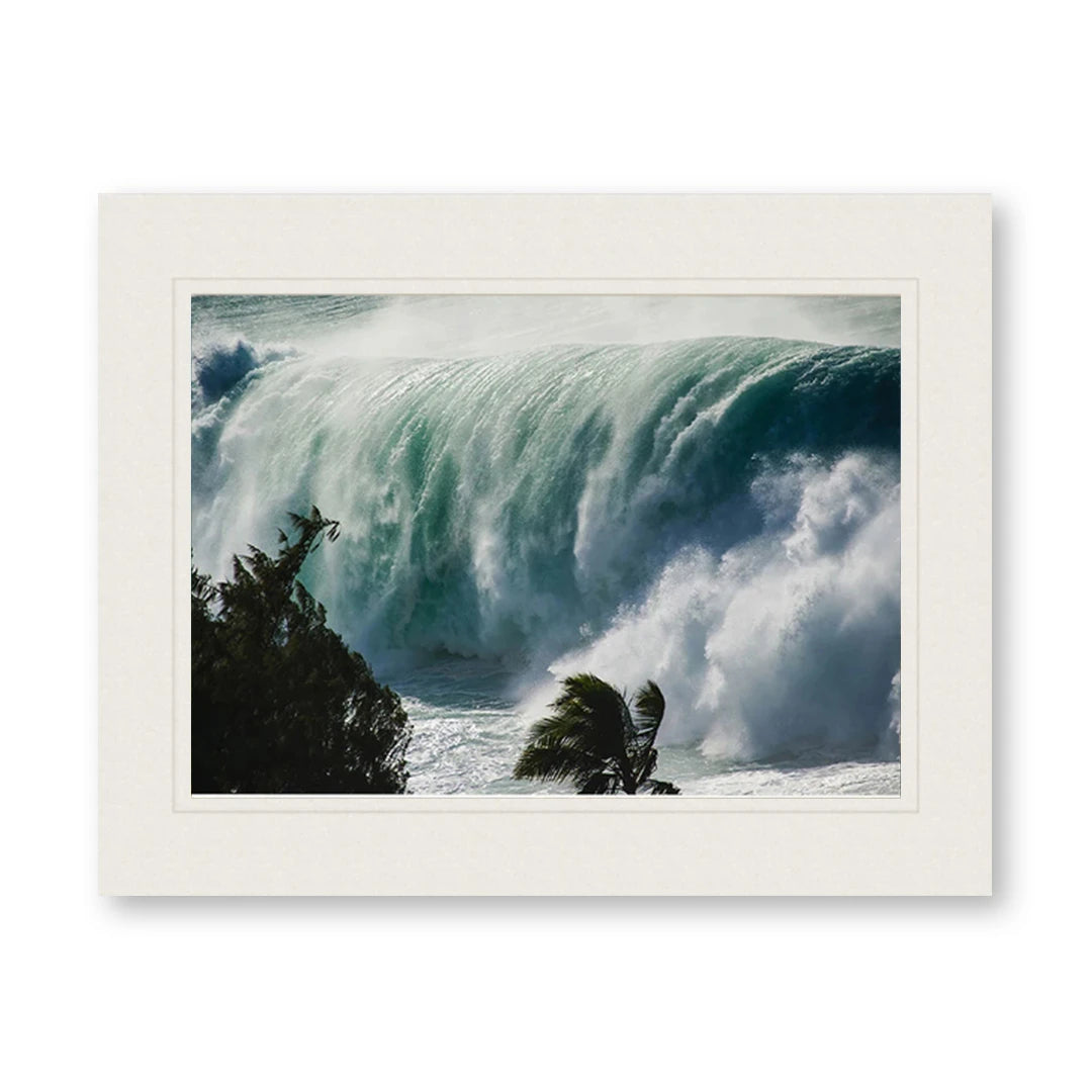 EDDIE BIG WAVE