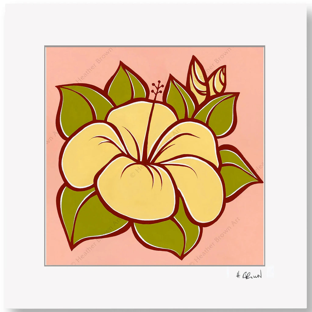 HIBISCUS