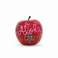 APPLE OBJECT #17