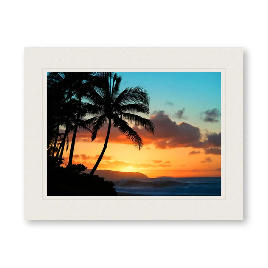 PARADISE FOUND