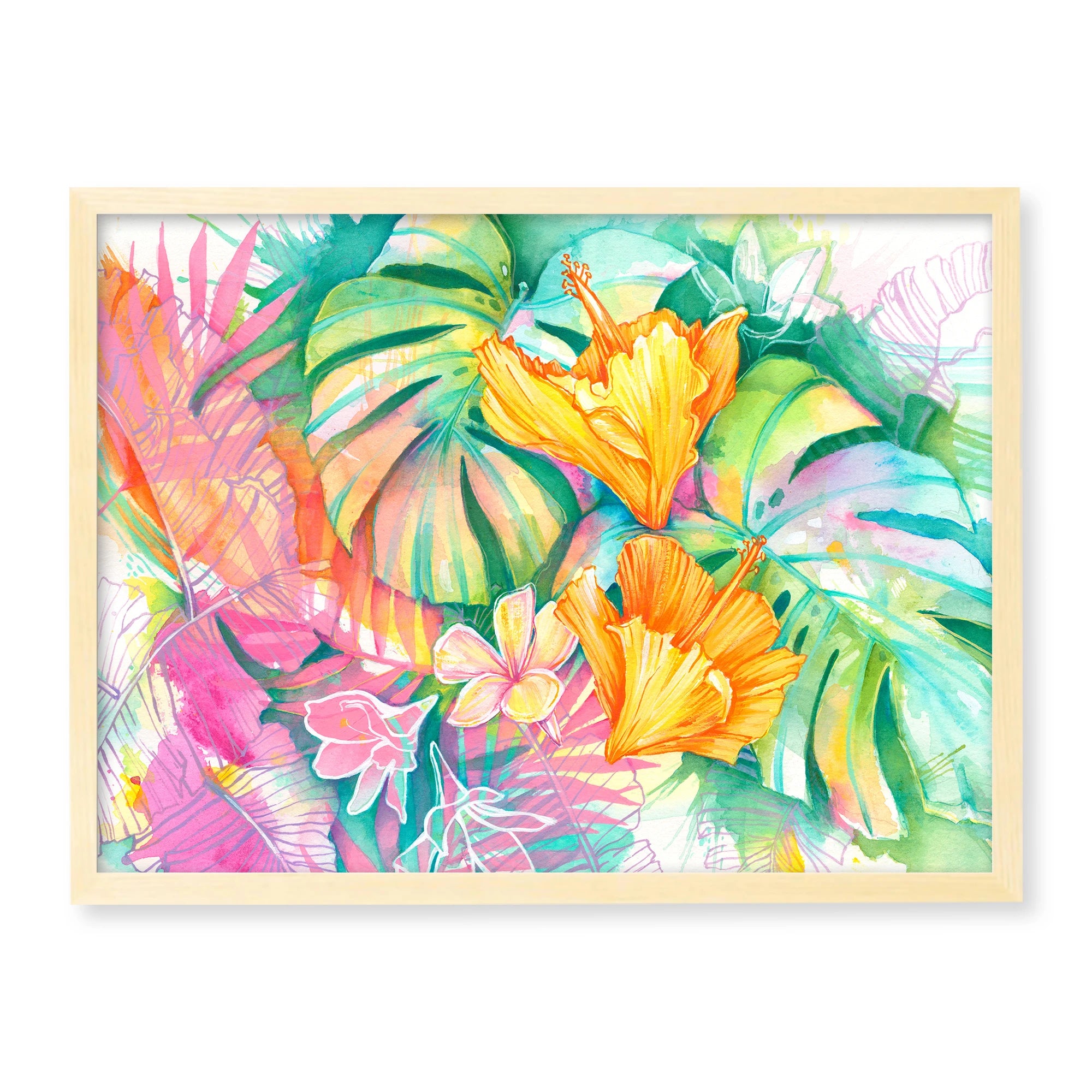 MONSTERA RAINBOW
