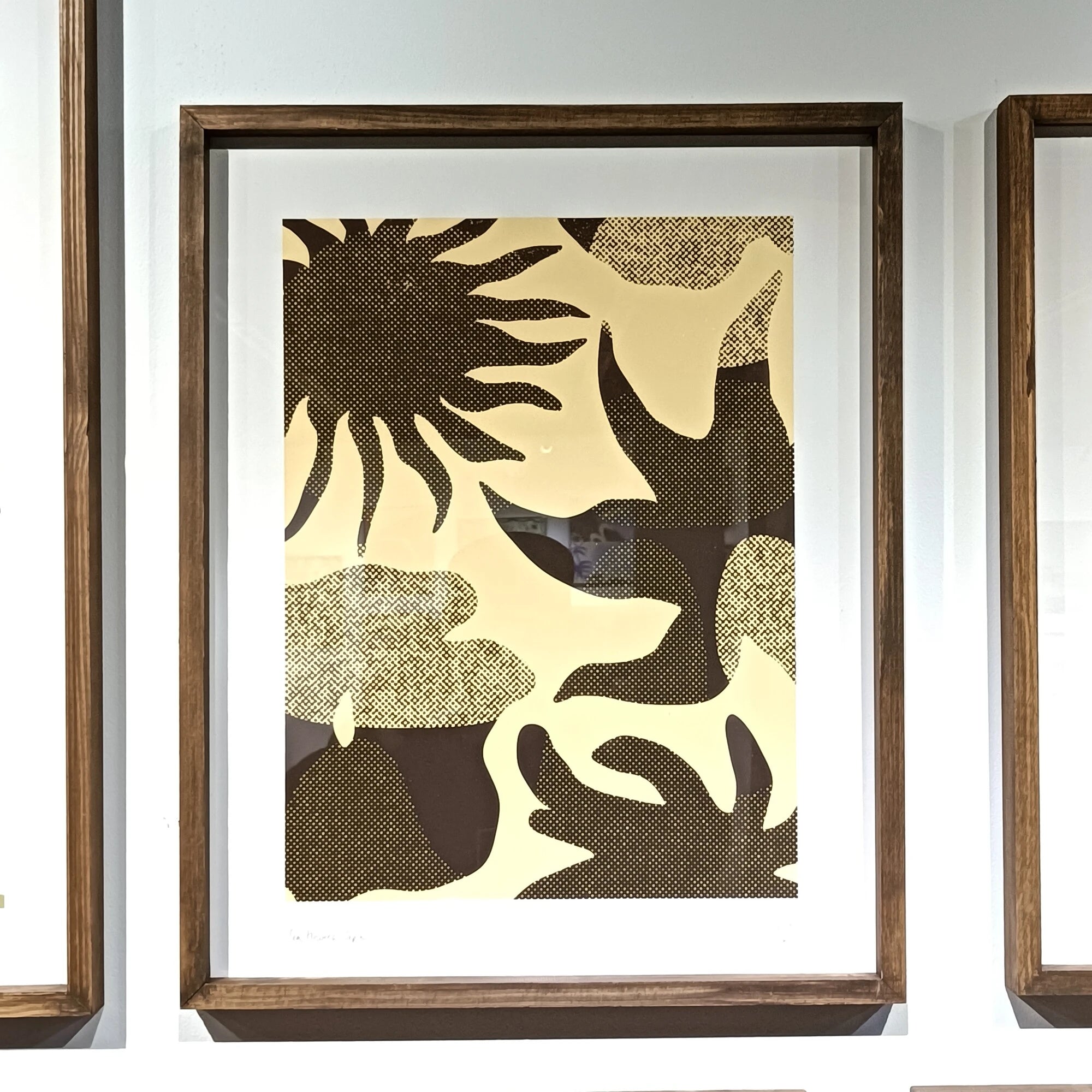 SEA FLOWERS, SEPIA