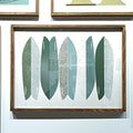 FISH, AQUA