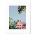 ROYAL AMONG THE PALMS