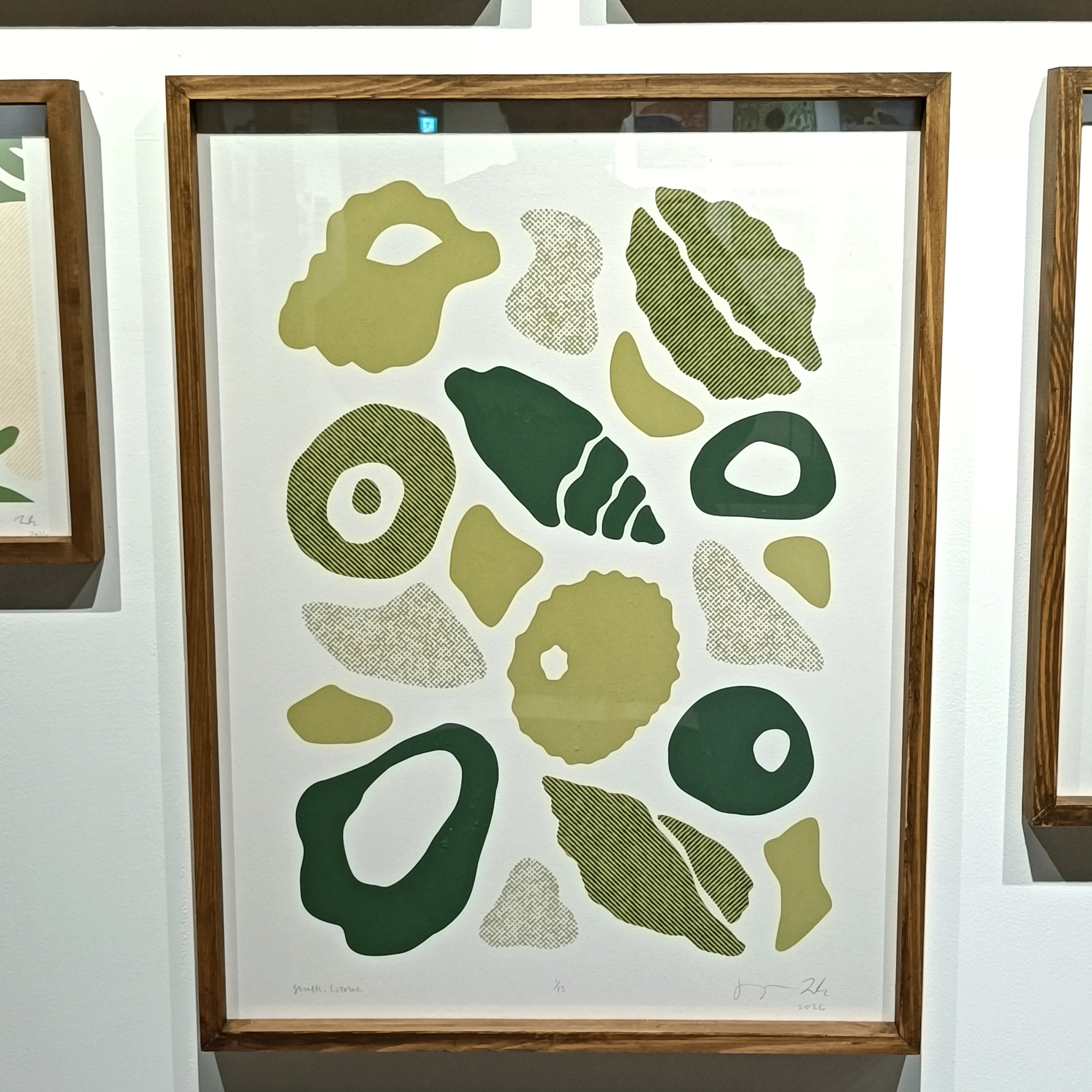 SHELLS, CITRUS