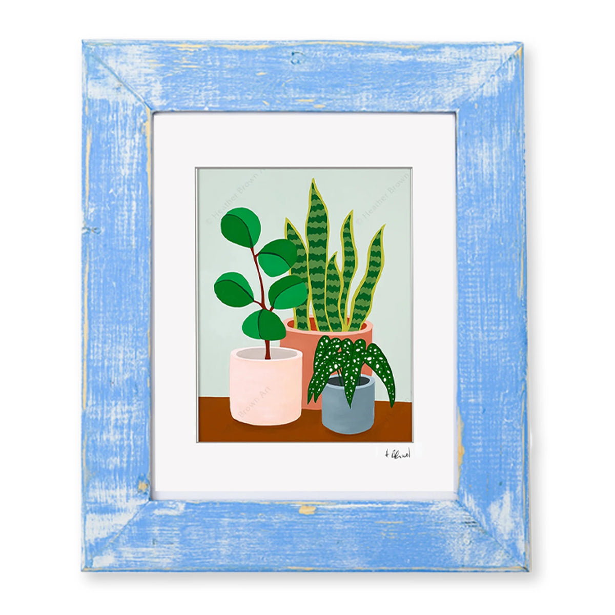 PLANT #2602