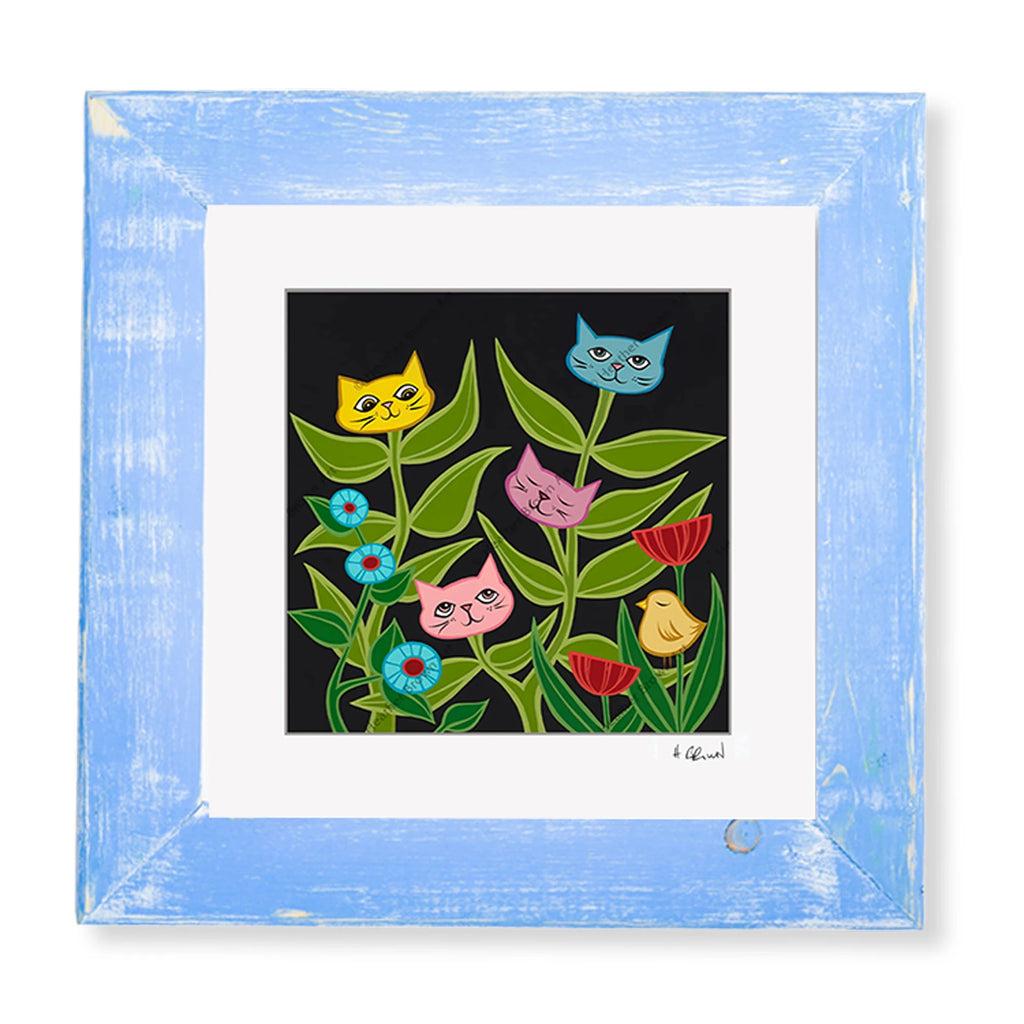 KITTY BLOSSOMS