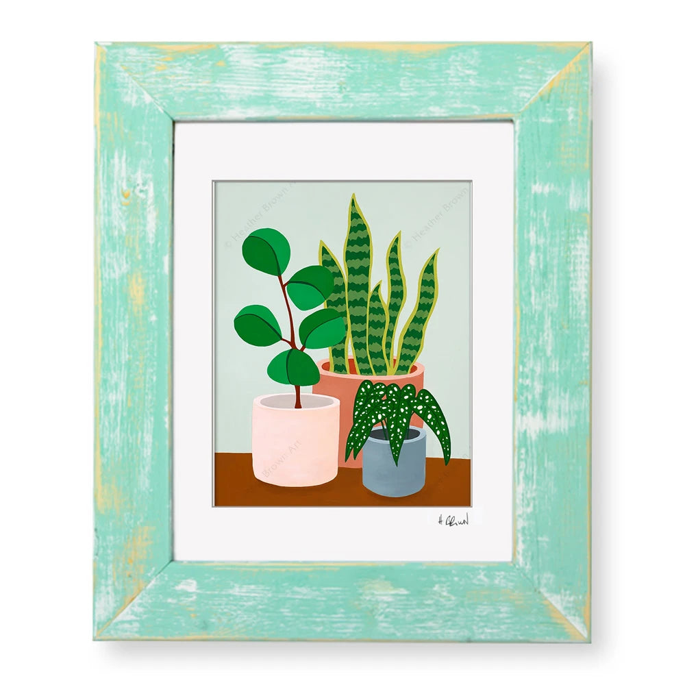 PLANT #2602