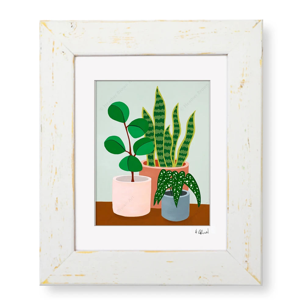 PLANT #2602