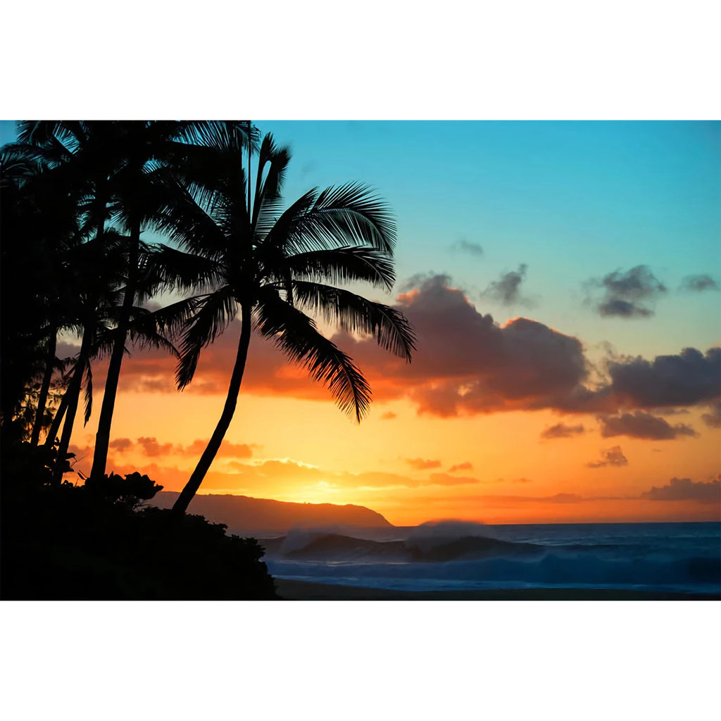 PARADISE FOUND