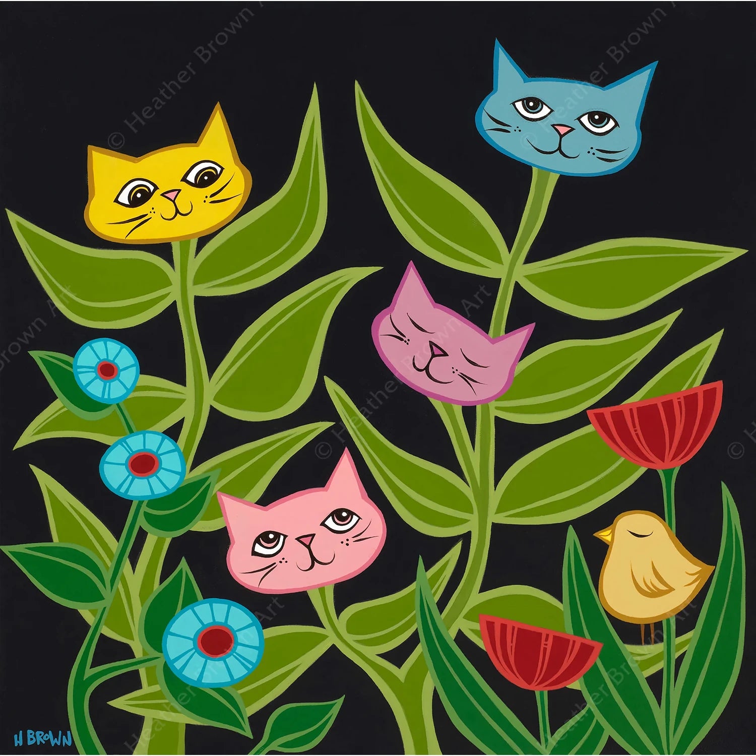 KITTY BLOSSOMS