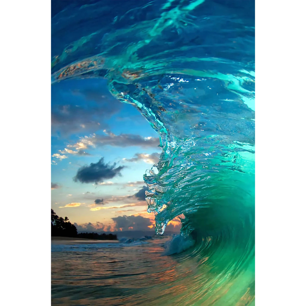 FLYING FISH