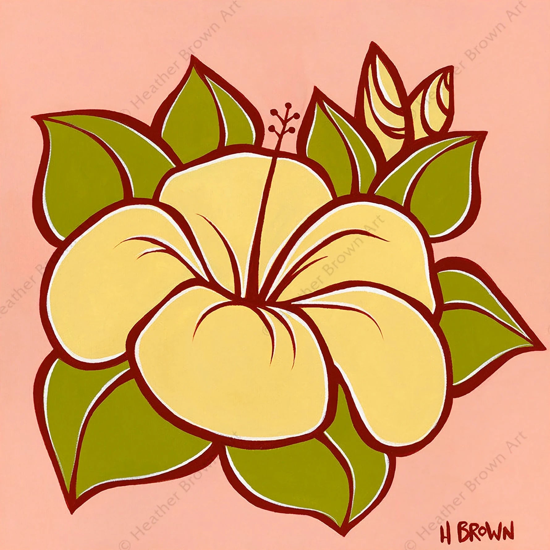 HIBISCUS