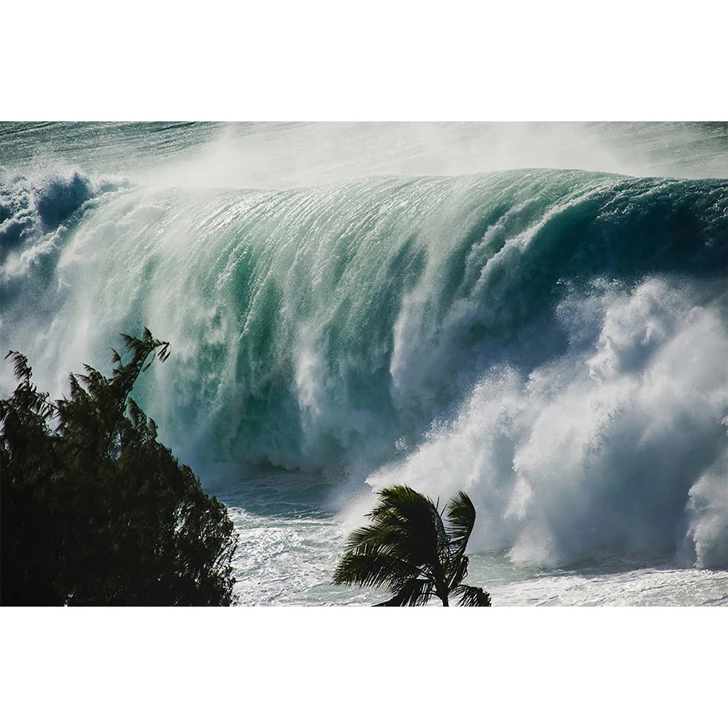 EDDIE BIG WAVE
